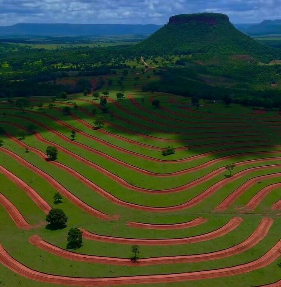 Imagem Projeto Taquari Vivo 2